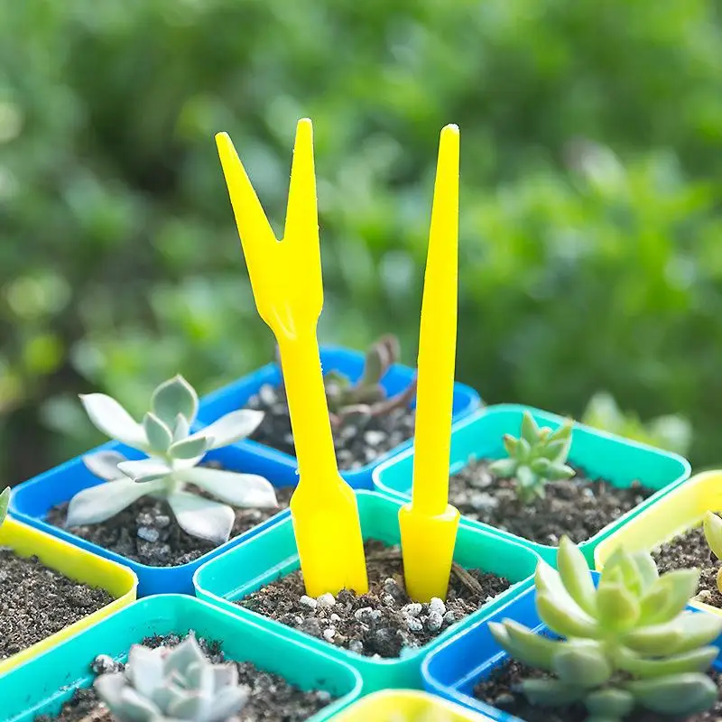 Succulent Set - 1/10Pcs Sowing Succulents Transplant Seedlings Planted