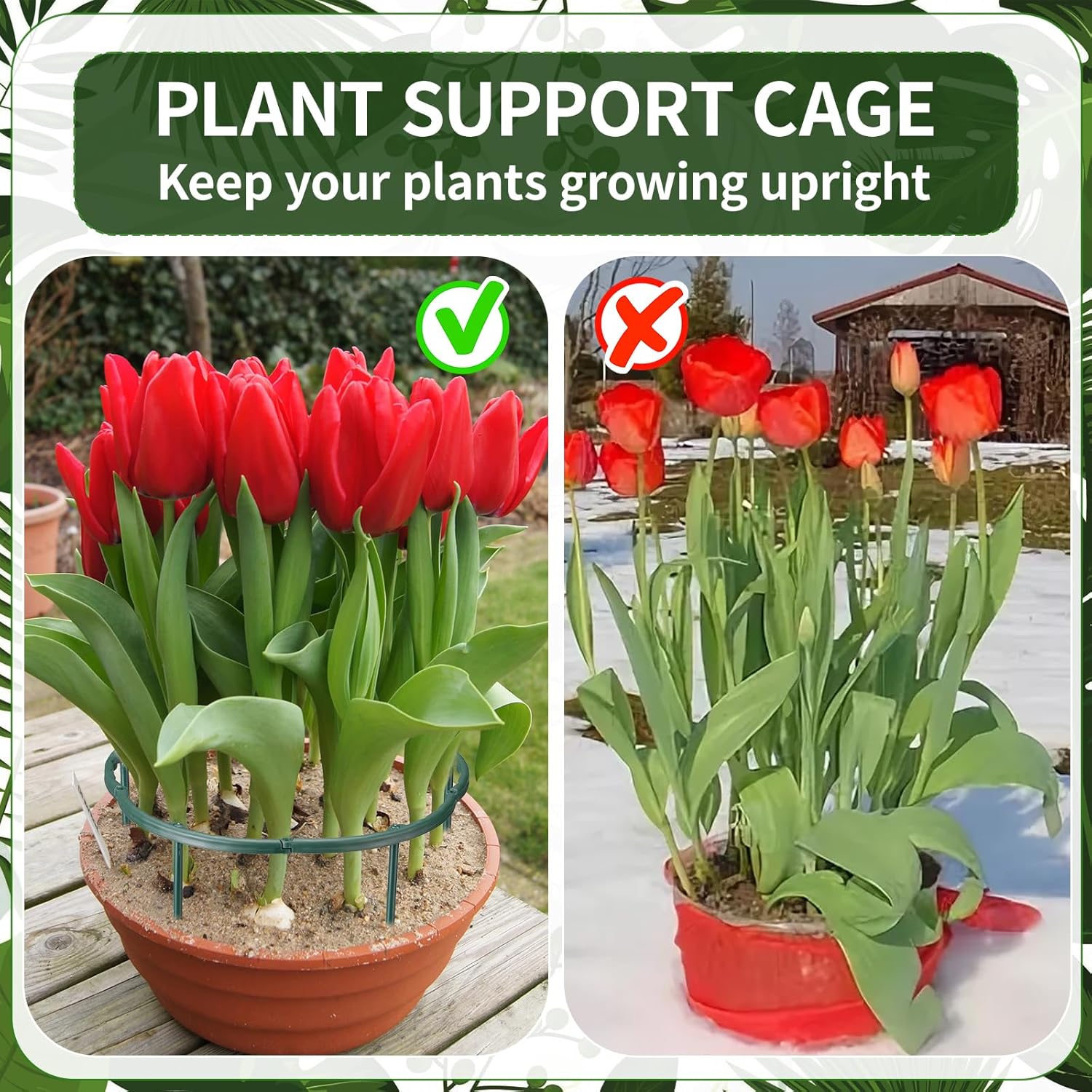 1/16pcs Plant Support Stake Fl - đánh giá và giá Plant Support Stake