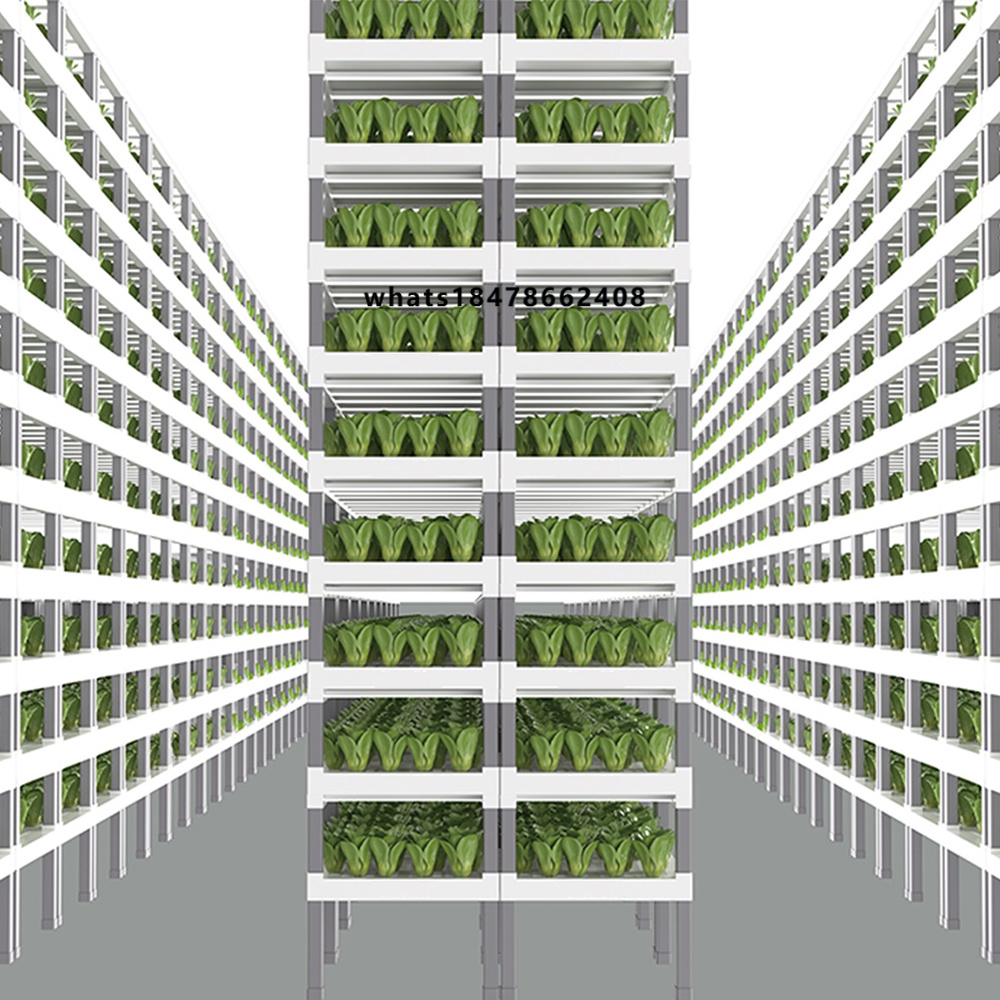 App Controlled Smart Hydroponi - đánh giá và giá Indoor Plants