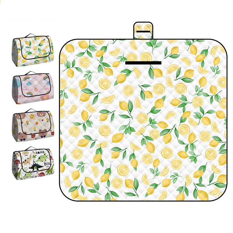 150*200CM Portable Picnic Mat  - đánh giá và giá Repotting Mat