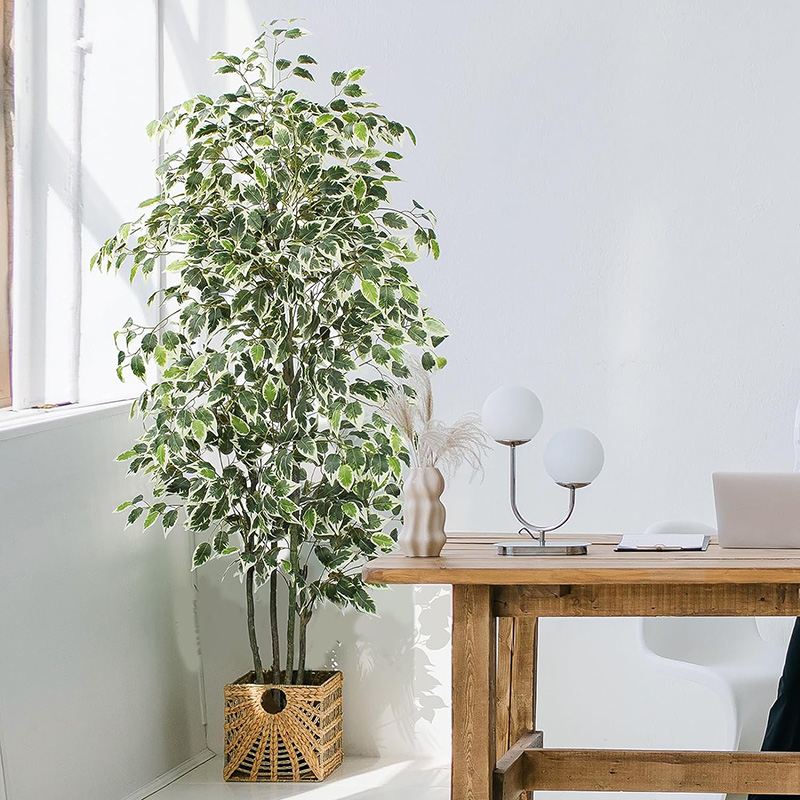 70in Artificial Ficus Tree Fau - đánh giá và giá Fiddle Leaf Fig
