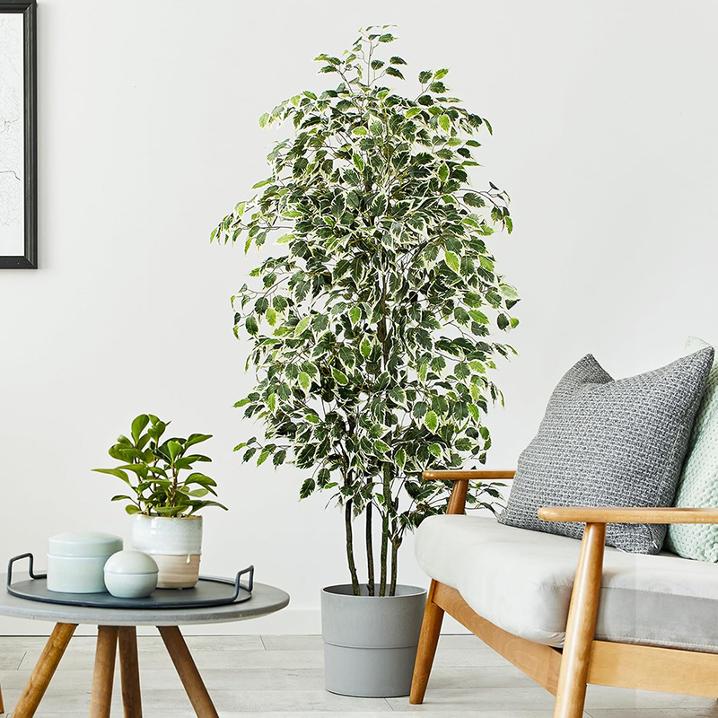 70in Artificial Ficus Tree Fau - đánh giá và giá Fiddle Leaf Fig