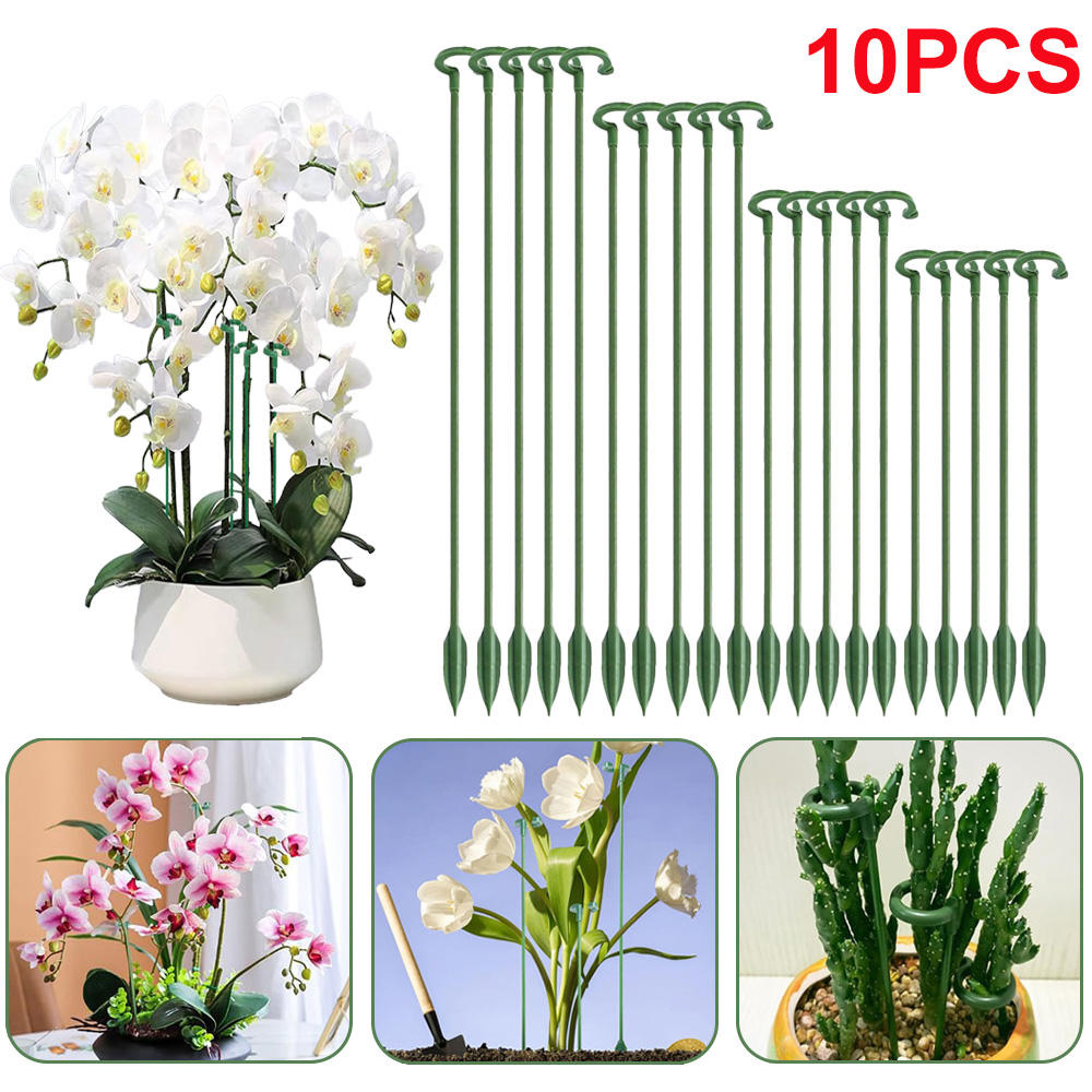 5/10pcs Plant Support Stakes P - đánh giá và giá Succulent Set