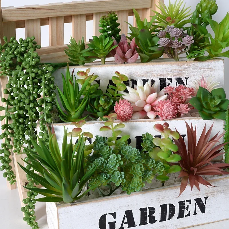 10/20Pcs PVC Succulents Plants - đánh giá và giá Snake Plant