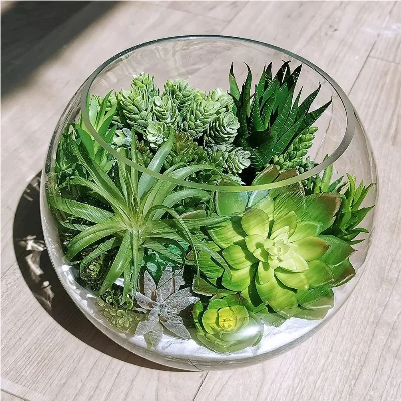 10/20Pcs PVC Succulents Plants - đánh giá và giá Snake Plant